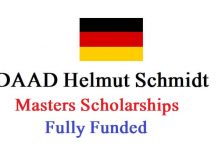 DAAD Helmut-Schmidt Master’s Scholarships 2022 Fully Funded