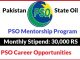 PSO Mentorship Program 2022 | PSO Career Opportunities for Students