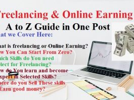 Freelancing & Online Earning A to Z Guide in One Post | Skills Power