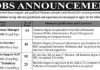 PO Box 750 Islamabad Organization Jobs 2022 | Jobs in Pakistan