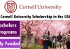 Cornell University Undergraduate Scholarship 2023 in the USA