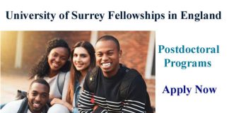 07 Postdoctoral Fellowship 2023 at the University of Surrey in England