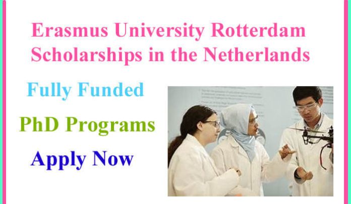 Erasmus University Rotterdam Fully Funded Scholarships in the Netherlands