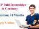 SWP Paid Internship Programs 2023 in Germany | Apply Online