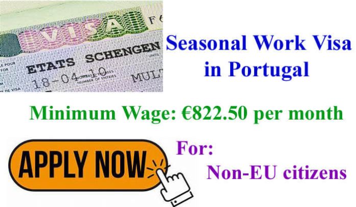 Seasonal Work Visa 2023 in Portugal | Apply Online