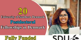 20 University of Southern Denmark Postdoctoral Fellowships 2023 in Denmark