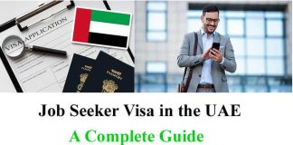 Job Seeker Visa 2023 in the UAE | A Complete Guide
