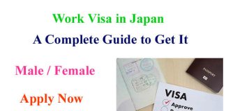 Work Visa 2023 in Japan | A Complete Guide to Get It