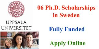 06 Fully Funded Ph.D. Scholarships 2023 in Sweden
