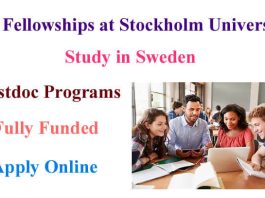 06 Postdoctoral Fellowships 2023 at Stockholm University, Sweden