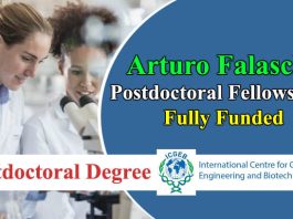 Arturo Falaschi Worldwide Postdoctoral Fellowships 2024-25 Fully Funded