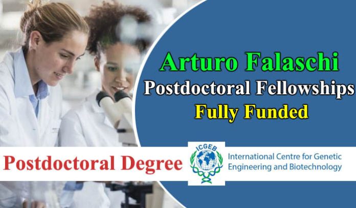 Arturo Falaschi Worldwide Postdoctoral Fellowships 2024-25 Fully Funded