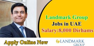 Landmark Group Jobs 203 in UAE | Salary up to 8,000 Dirhams
