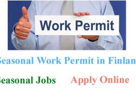 Seasonal Work Permit Process 2023 in Finland | Seasonal Jobs