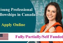 Young Professional Fully Funded Fellowships 2024 in Canada