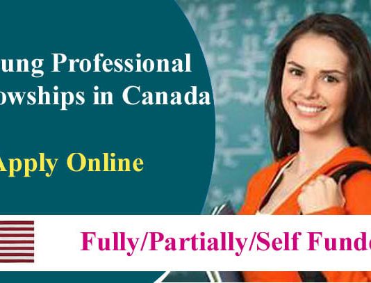 Young Professional Fully Funded Fellowships 2024 in Canada
